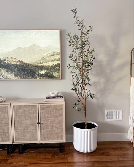 I still can’t believe this gorgeous fluted planter is only $25 and it’s hosting my favorite faux olive tree which is currently less than $100 ! The perfect complement to my super affordable cane media console and my (worth the splurge) frame tv! 

#LTKFind #LTKhome