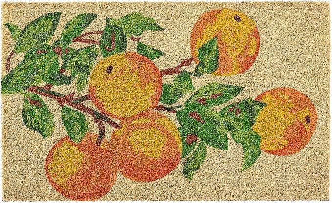 HF by LT Oranges 100% Coir Doormat, 18 x 30 inches, Naturally Durable, PVC-Backing, Sustainable | Amazon (US)