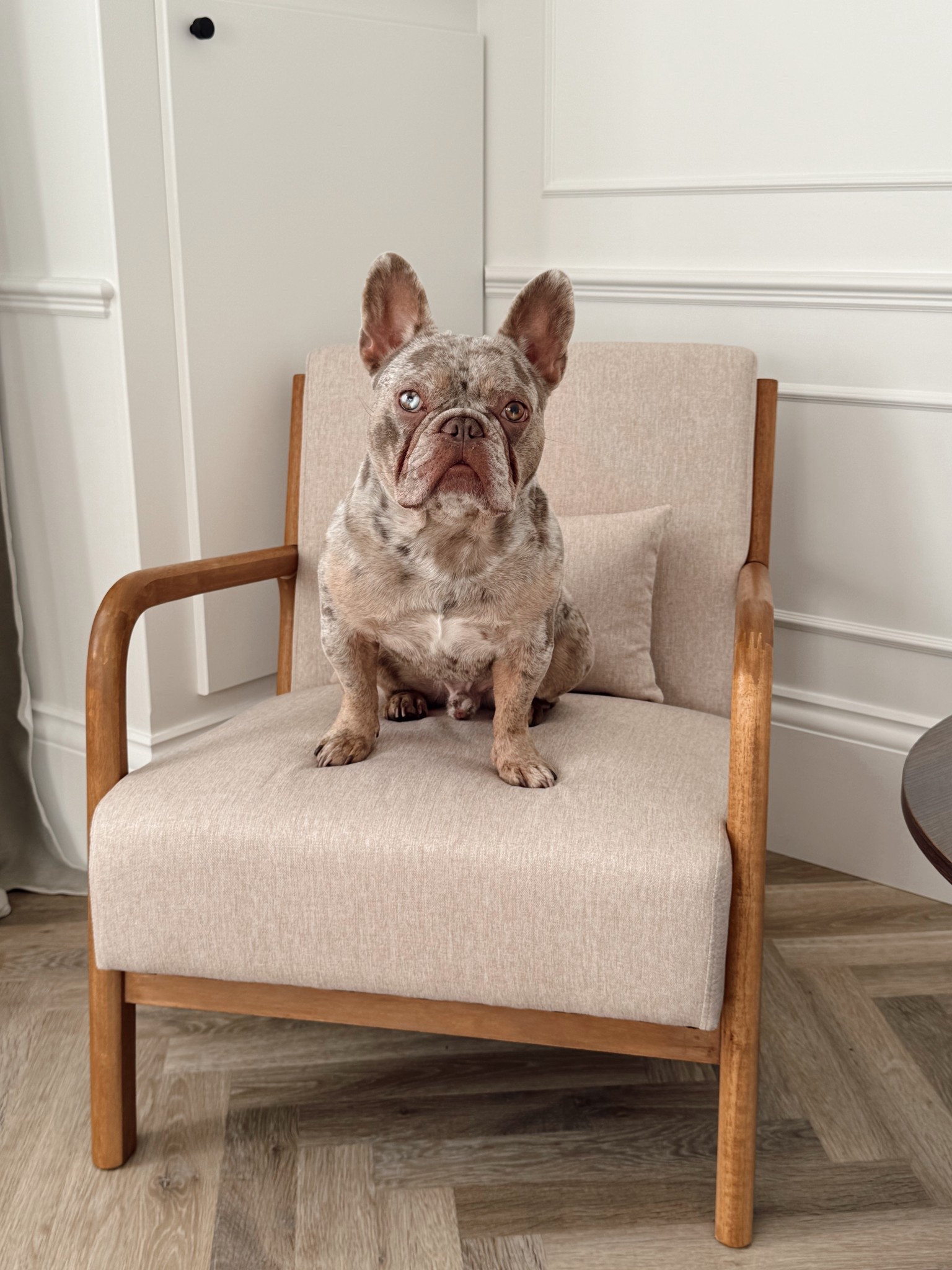 The perfect chair for a home refresh for the new year! 

#LTKuk #LTKeurope #LTKhome