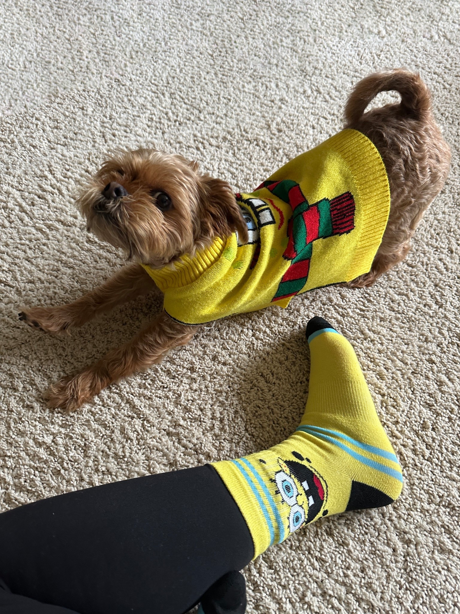 Matching in our sweater and socks 💛

#LTKSaleAlert #LTKootd #LTKdayinmylife