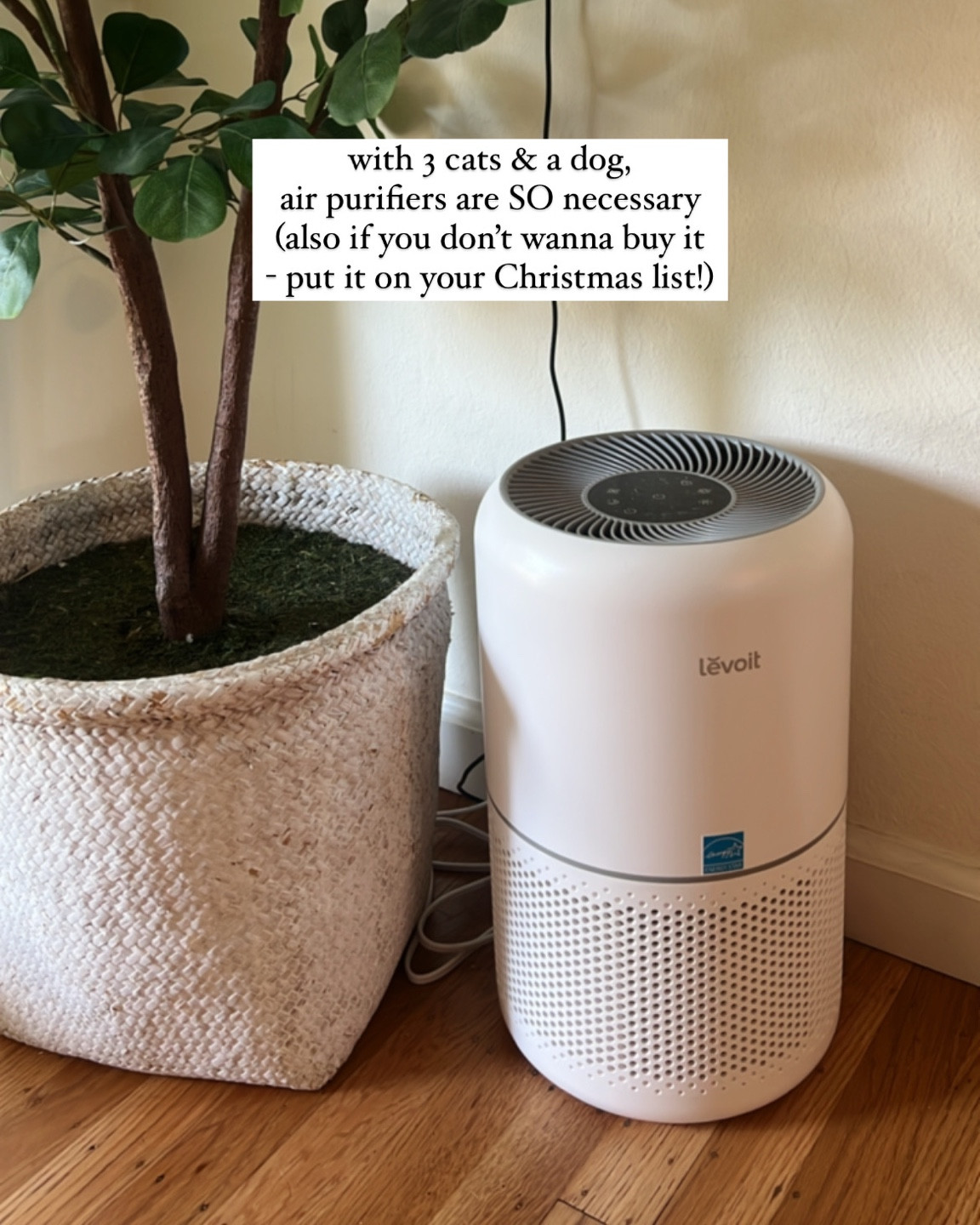 Must have for dog & cat parents! Air purifiers are a great gift too! 

#LTKsalealert #LTKGiftGuide #LTKxPrime