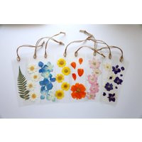 Real Dried Pressed Flower Bookmark, With Daisies, Hydrangeas, Larkspur, Wildflowers, Roses, Ferns, G | Etsy (US)