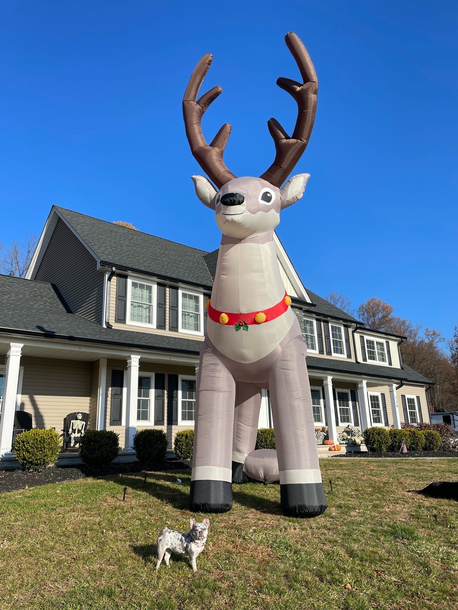 20ft tall inflatable reindeer 

#LTKSeasonal #LTKCyberWeek #LTKHoliday