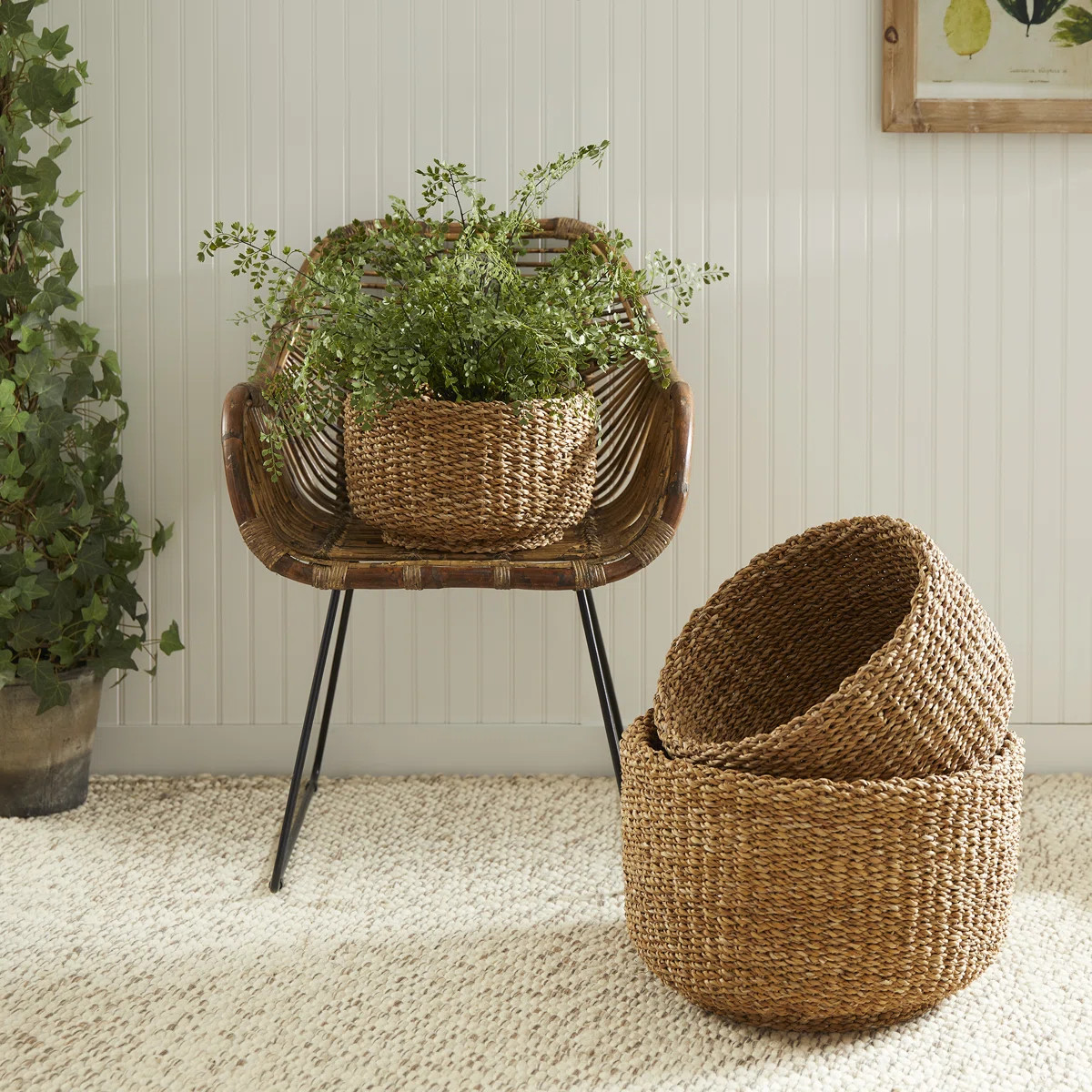 Birch Lane™ Charton 3 Piece Seagrass General Basket Set | Wayfair | Wayfair North America