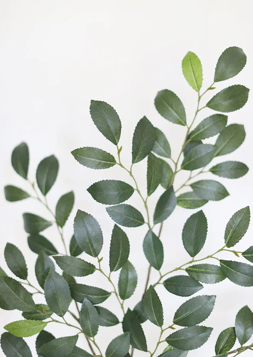 Silk Ruscus - 26" | Afloral