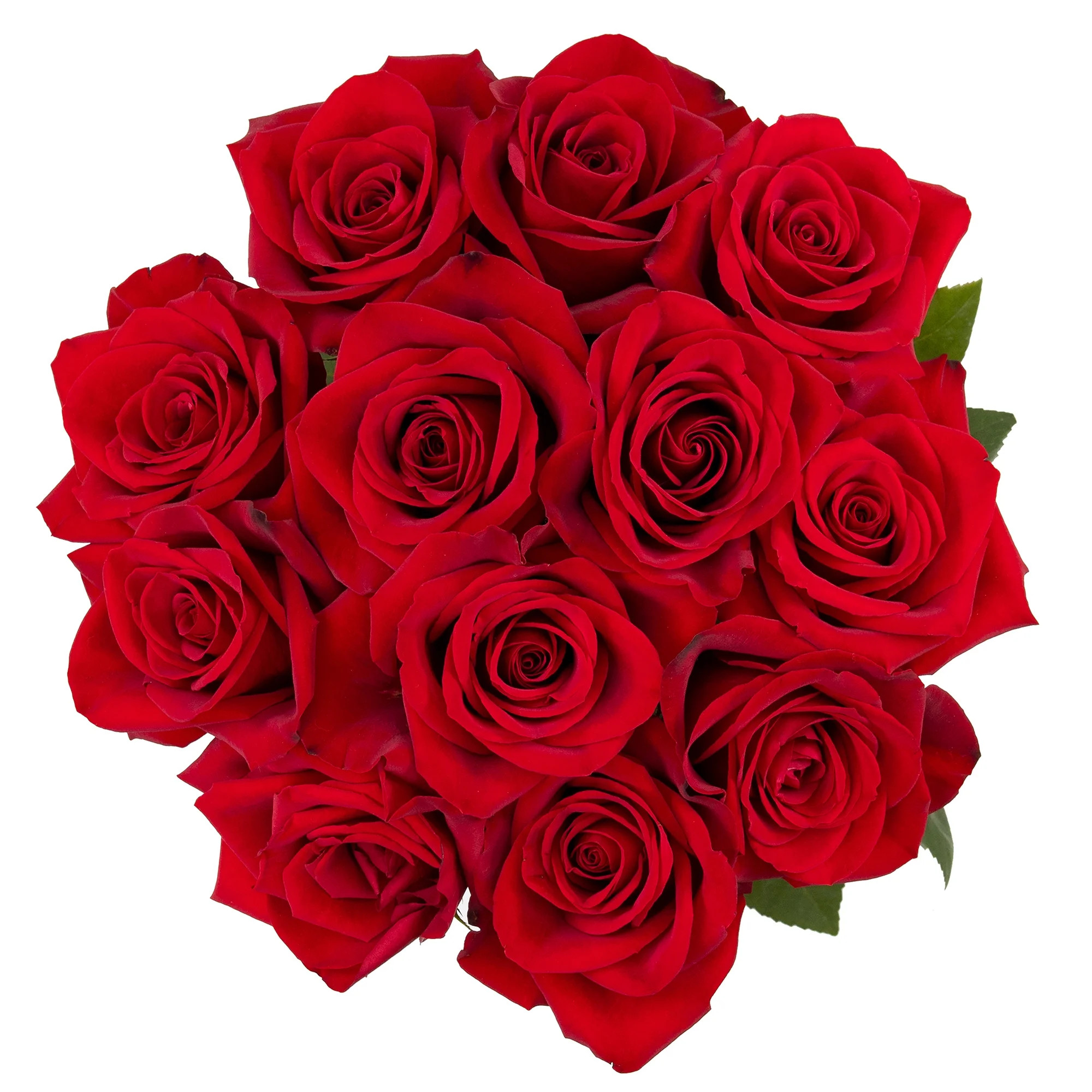 Fresh-Cut Solid Roses Flower Bunch, Minimum of 12 Stems, Colors Vary | Walmart (US)