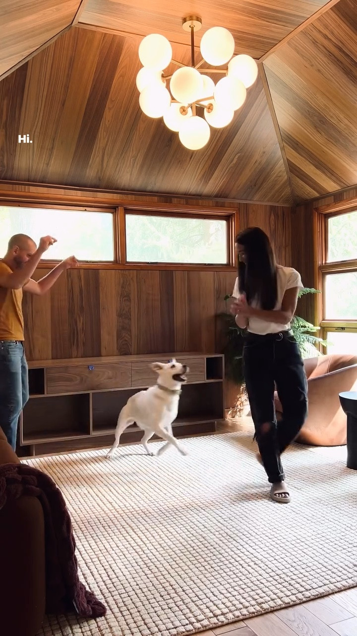 Custom 70” credenza by @departmenthome, a Chicago-based small business out of Humboldt Park! We went over every detail when considering our needs for this piece, both form and function. Small cut outs to perfectly fit our speakers, record storage on the bottom, groove along the top for record display, recessed back for tidy cord management. Plinth base with turned leg corners. Walnut with a smooth satin finish omggg! 🥹

#LTKHome #LTKVideo