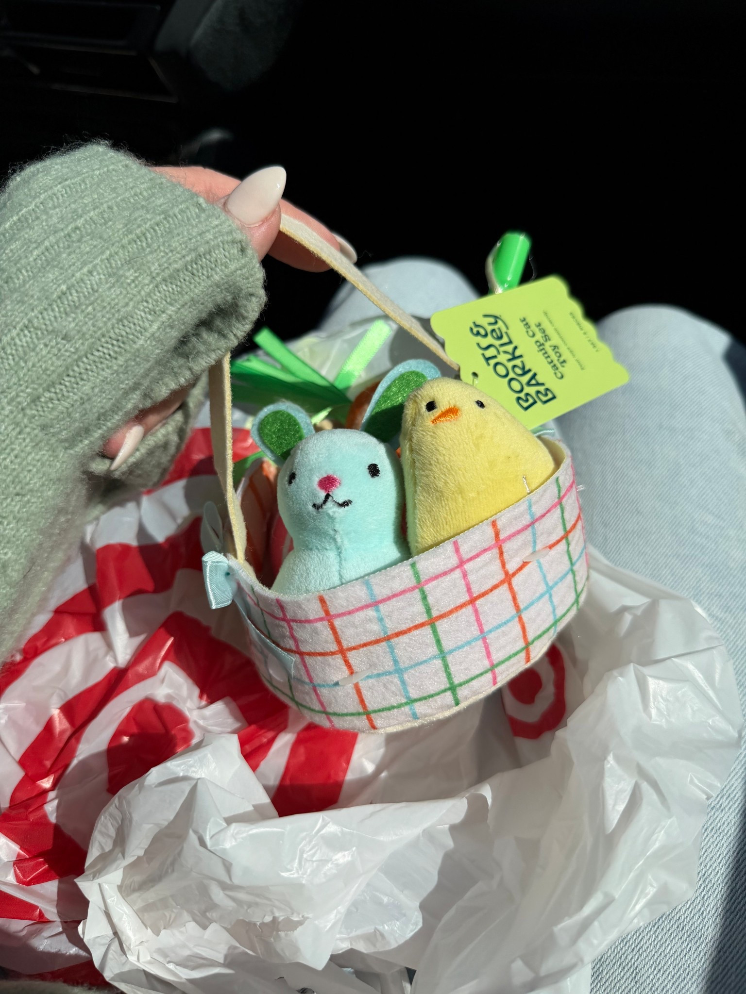 Easter Basket Cat Toy Set - TARGET 🐣🥕