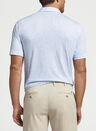Seeing Stars Aqua Cotton Polo | Peter Millar