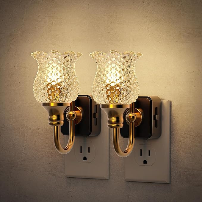 JandCase Night Light, 2 Pack Glass Night Lights Plug into Wall, Dimmble Floral LED Nightlight, 0-... | Amazon (US)