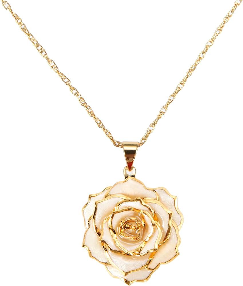 AliveRose Valentines Pendant Gifts for Women, 24K Gold Dipped Real Rose Dangle Necklace Jewelry -... | Amazon (US)