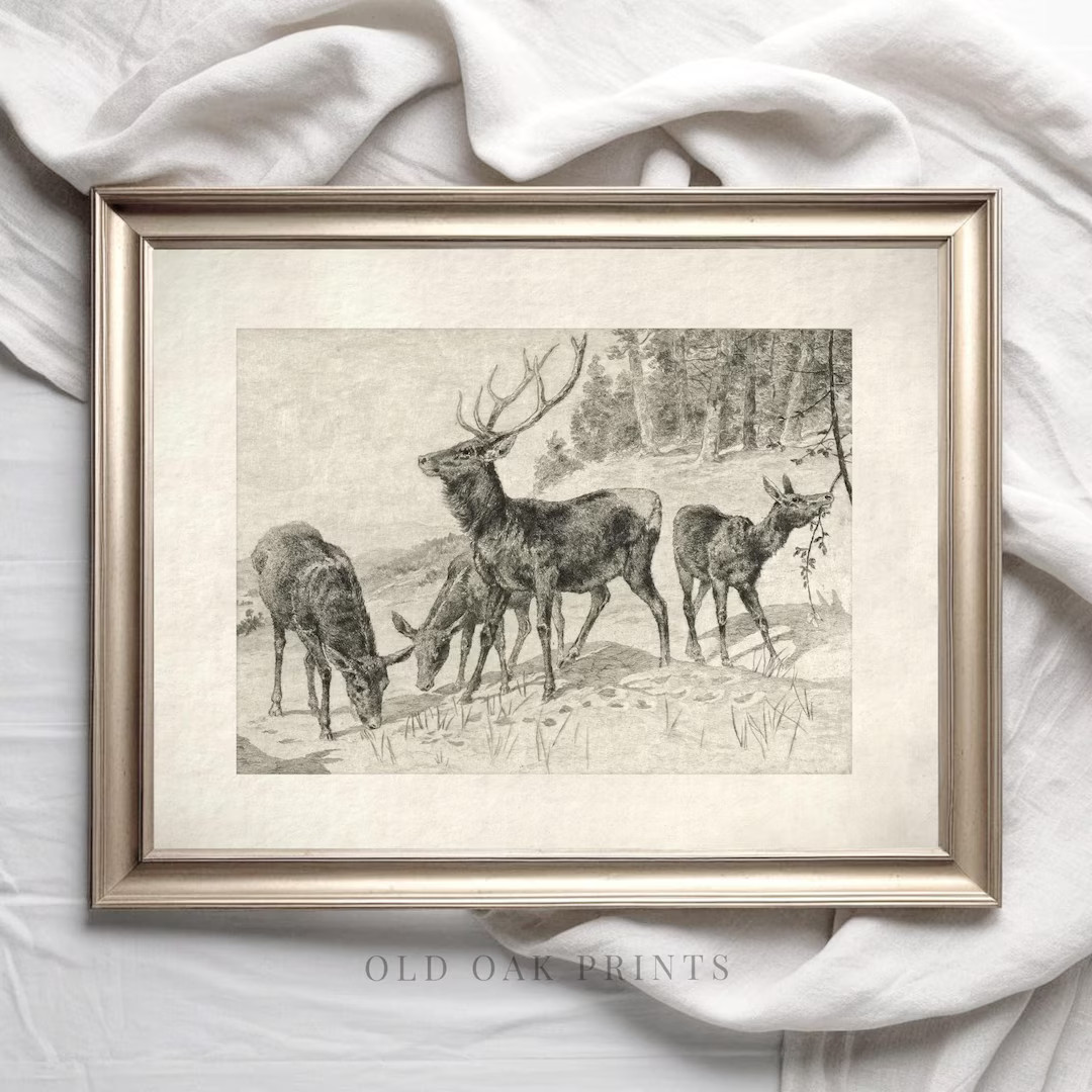 Reindeer Print Rustic Vintage Deer Drawing Nursery Woodland Neutral PRINTABLE Digital Antique Nat... | Etsy (US)