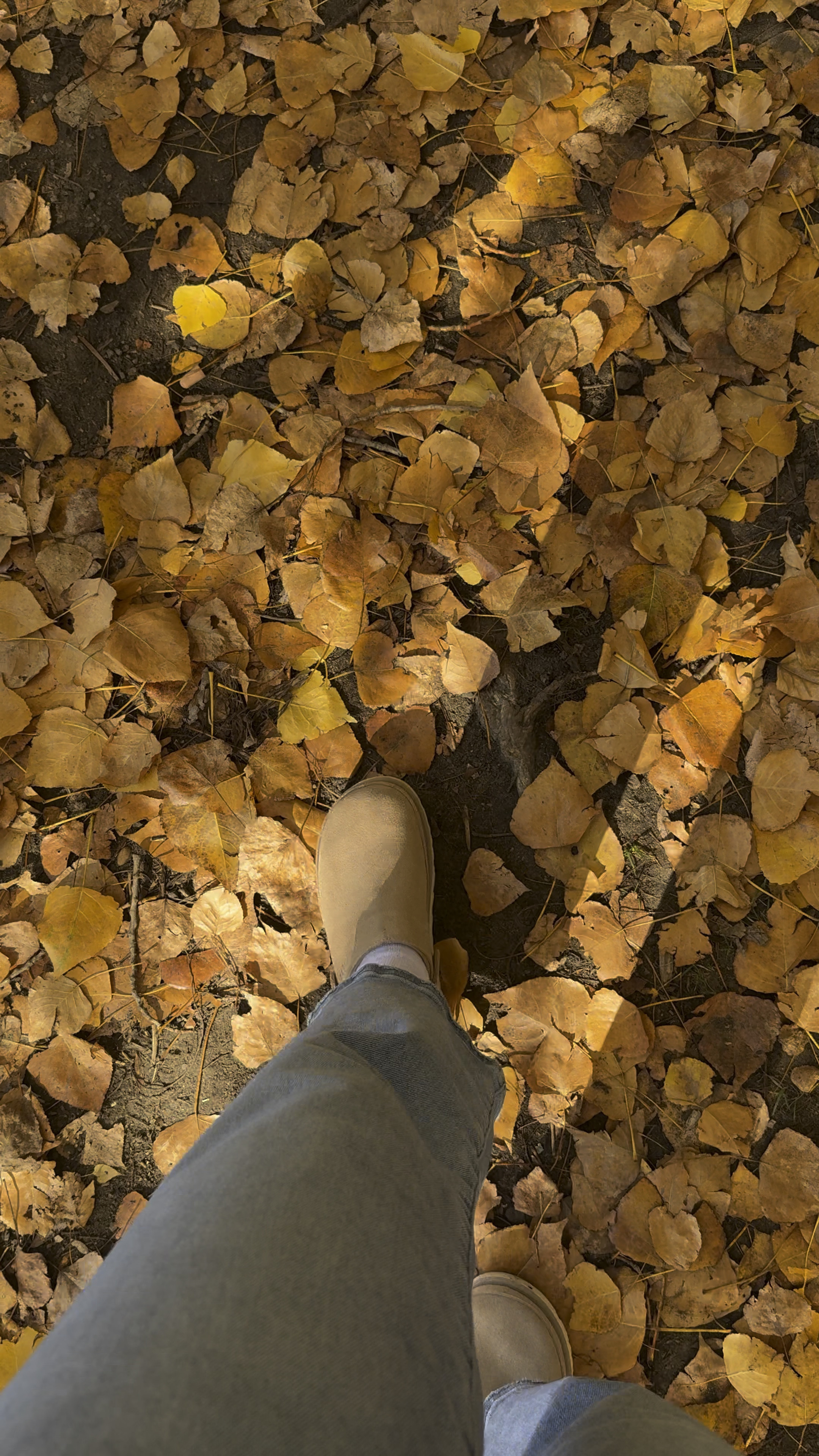 The comfiest and coziest fall slippers! I’m loving the color “sand” and it’s sold out in most places. I’m sharing where you can still find them. Most sizes  available! Fit TTS. I’m wearing my normal size 8  

#LTKHoliday #LTKOver40 #LTKGiftGuide