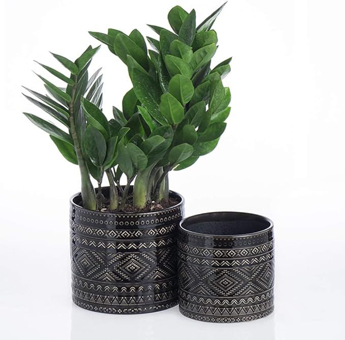 Voeveca Ceramic Flower Pot Garden Planters 4.5" and 5.5" Set of 2 Indoor Outdoor, Modern Nordic S... | Amazon (US)