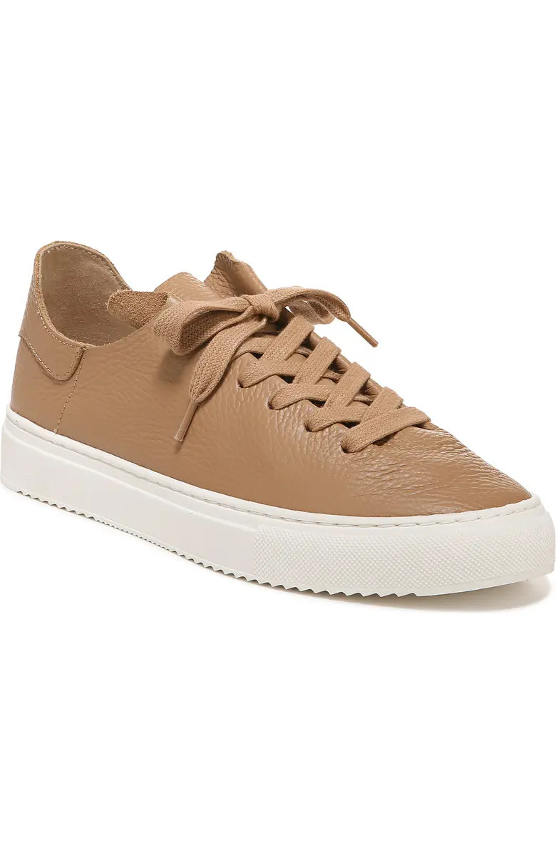 Sam Edelman Poppy Sneaker (Women) | Nordstrom | Nordstrom