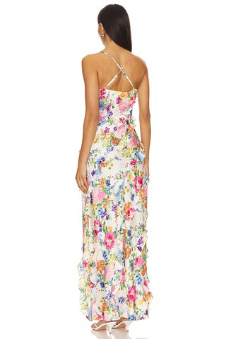 Romance Ruffle Dress in Ivory Botanical Floral | Revolve Clothing (Global)
