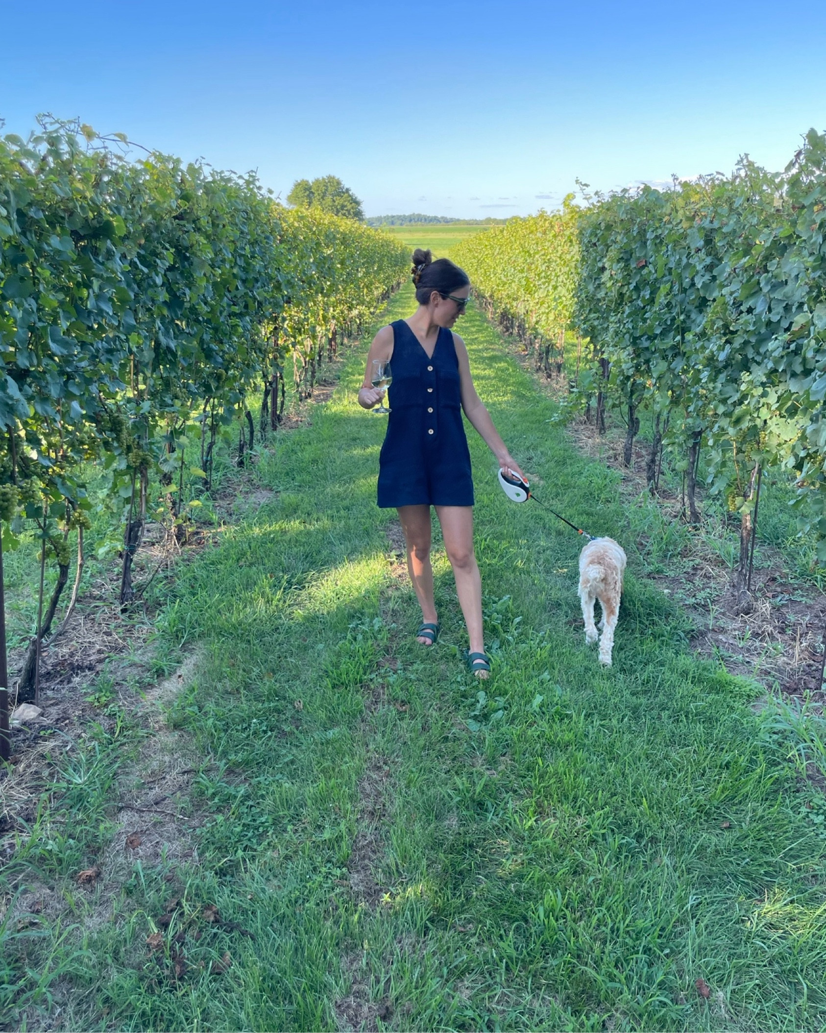 Winery day with the dog in my favorite summer romper. 

#LTKTravel #LTKSeasonal #LTKStyleTip