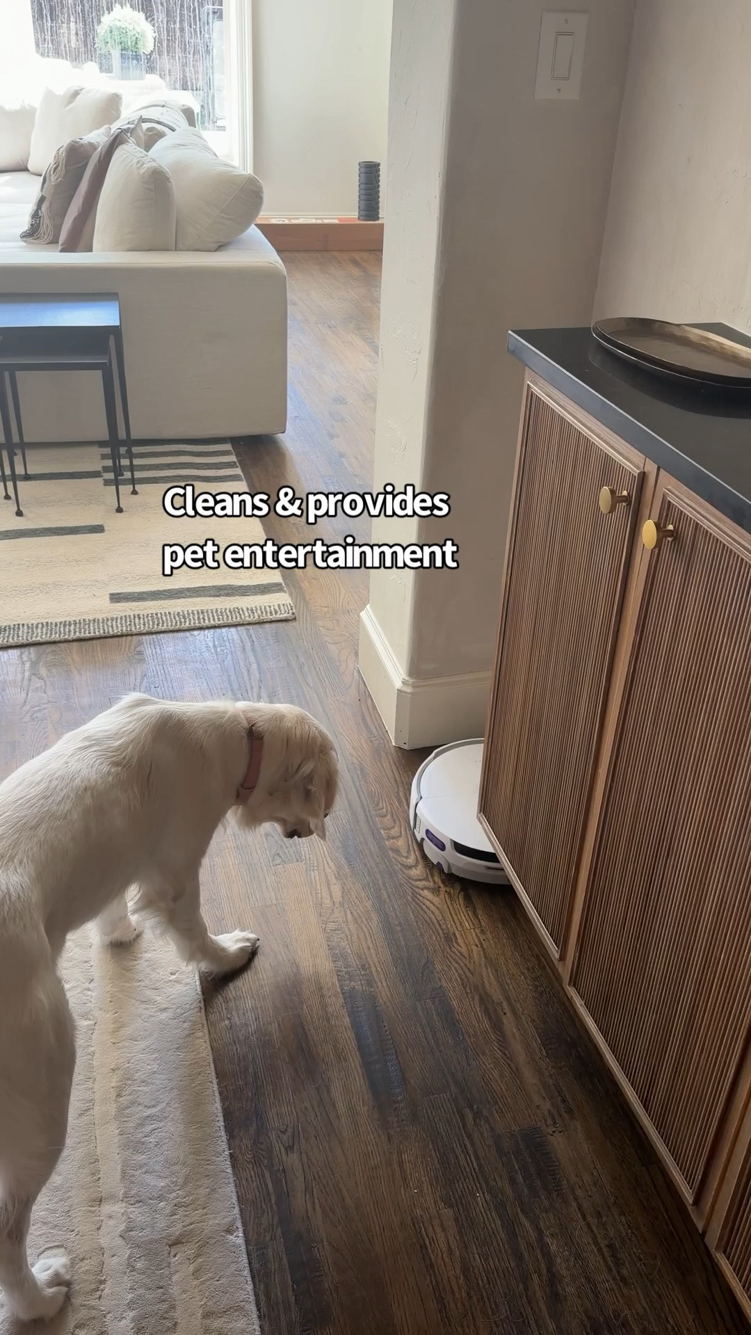 I cannot believe how quiet the Narwal Robot Flow2 is! This is my 3rd robot vacuum and the absolute quietest. It doesn’t wake me up or distract me while I work. It is self cleaning, mops with 140 degree hot water and can clean up big messes. 

It’s $400 off right now! 

For Amazon Use code: TARYNFLO2 for additional $30 off! 

#narwal #NarwalFlow2 #NarwalFlow2White #RobotVacumm

#LTKdayinmylife #LTKHome #LTKmomlife