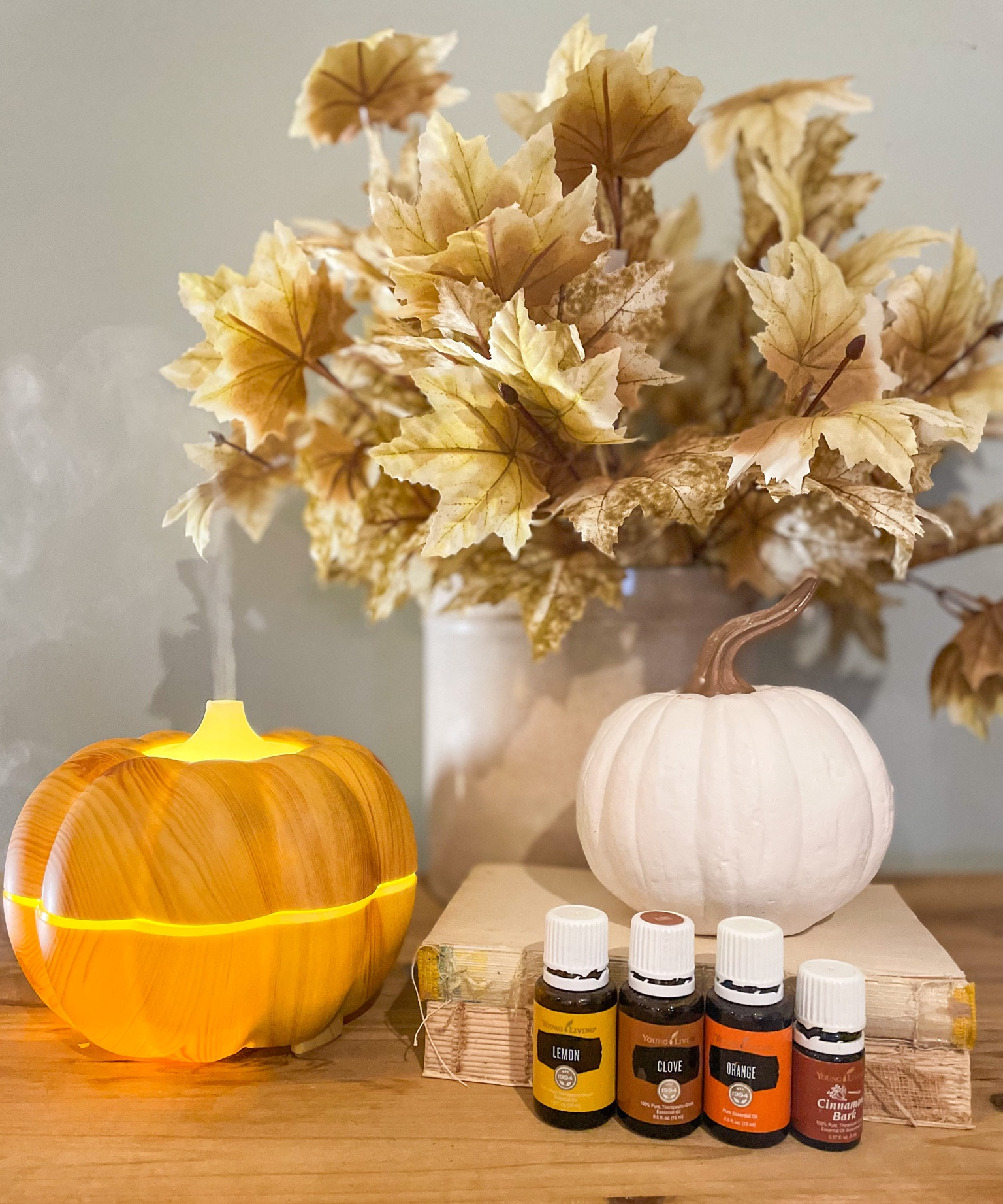 The cutest little pumpkin diffuser with lights and timer🍂

#LTKFind #LTKSeasonal #LTKhome
