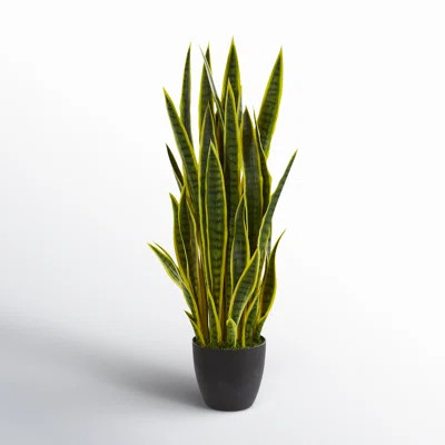 38" Artificial Snake Plant in Planter | Wayfair North America
