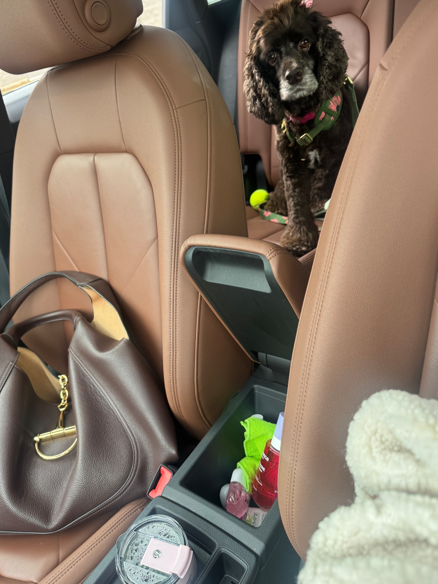 Car essentials for my it girl aesthetic 🩷✨

#LTKCyberWeek #LTKdayinmylife #LTKHoliday