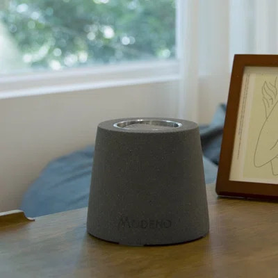 Entta Stone Bio-Ethanol Outdoor Tabletop Fireplace | Wayfair North America