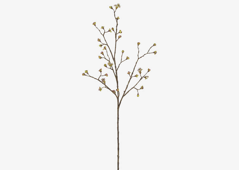 Gail Prunus Branch | Urban Barn