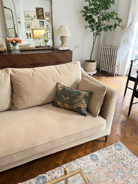 New pillows🧡

Velvet tan sofa, area rug, faux potted tree, bust table lamp, MCM horizontal dresser, glass vase, faux tulips, tapestry pillow cover 

#LTKhome #LTKFind #LTKstyletip