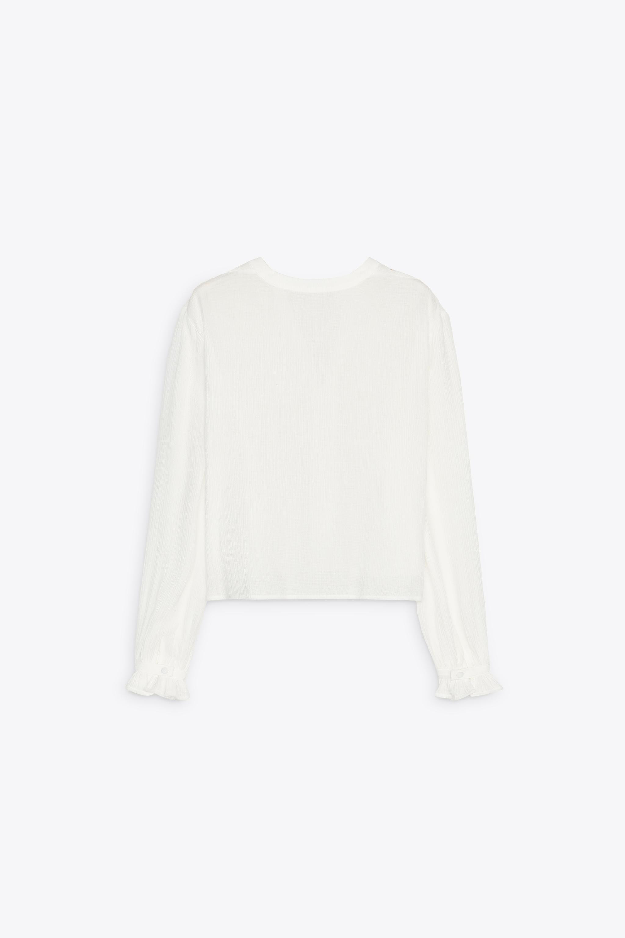 EMBROIDERED EYELET CROPPED BLOUSE | Zara US