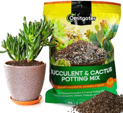 Succulent & Cactus Soil Potting Mix 1qt, Natural Organic Potting Mix for Cactus, Succulent, Palm,... | Amazon (US)