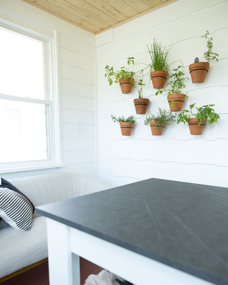 Fresh herb wall, decor, and sunroom, kitchen photography studio 🌿📸

#LTKFind #LTKunder50 #LTKSeasonal