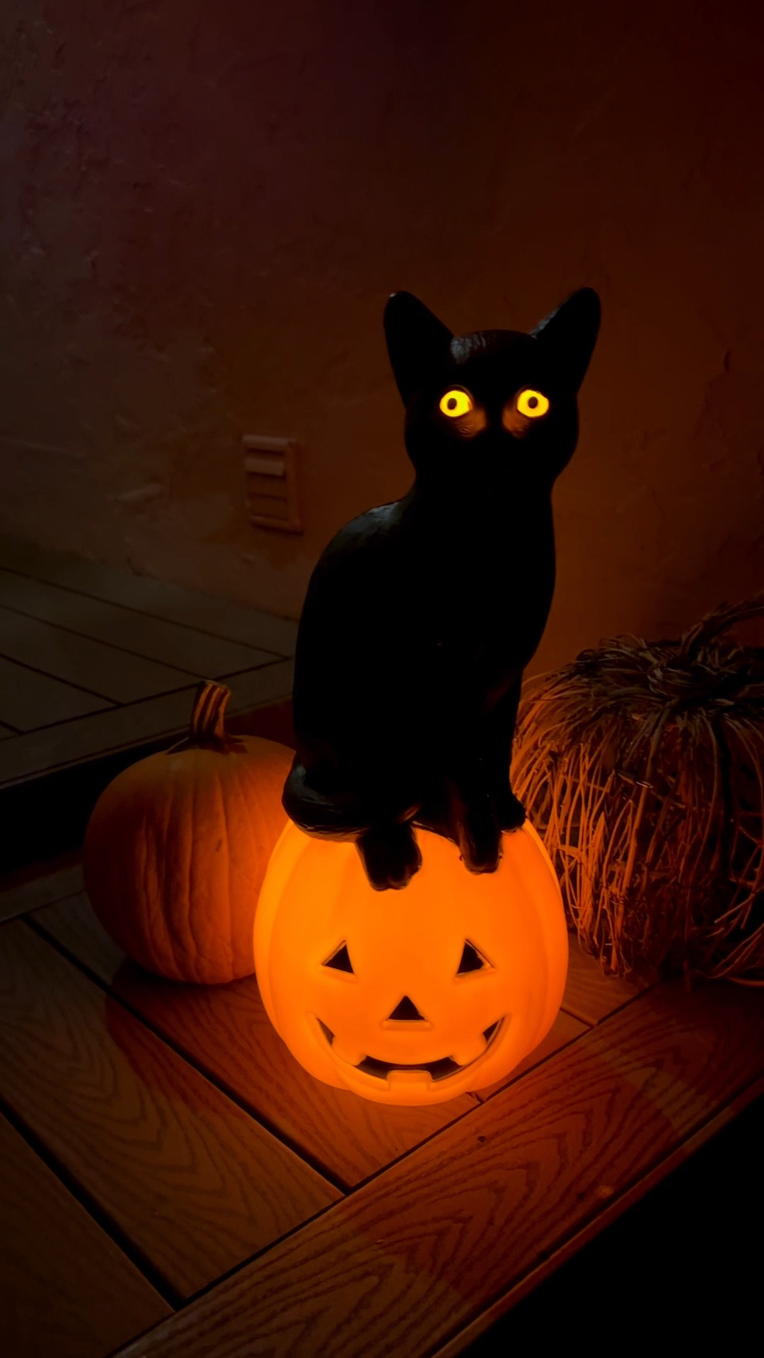 I kind of love my new vintage inspired kitty cat decoration.