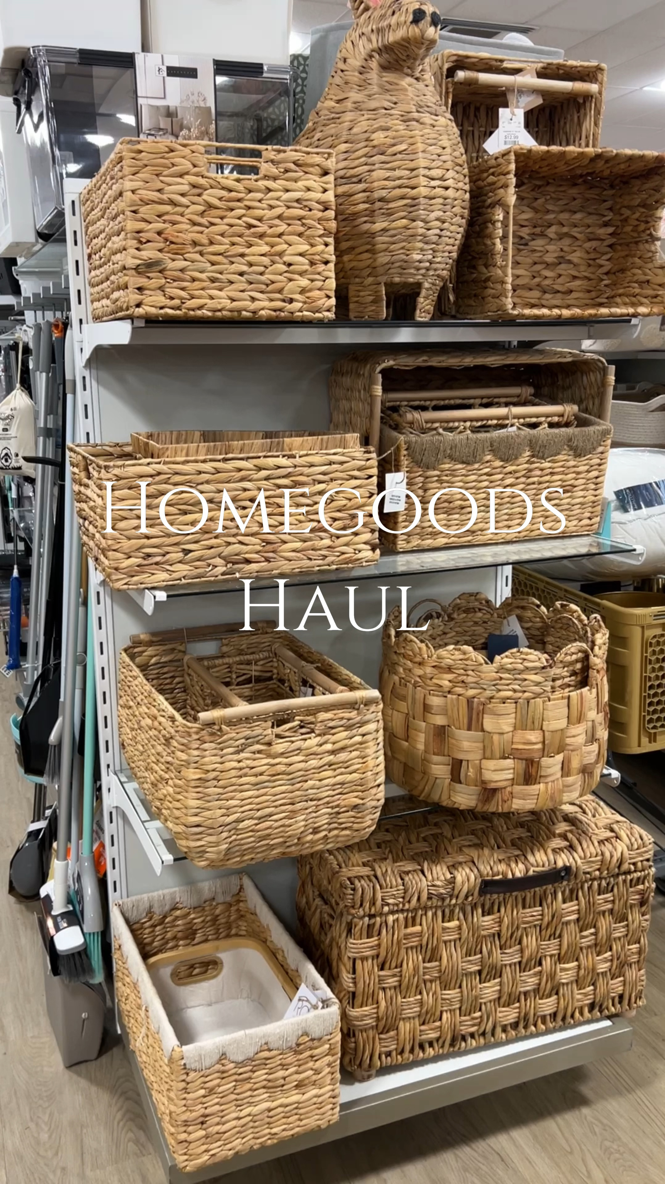 Homegoods Haul - great affordable home decorations! 






家居好物合集

#LTKHome #LTKFindsUnder50 #LTKSaleAlert