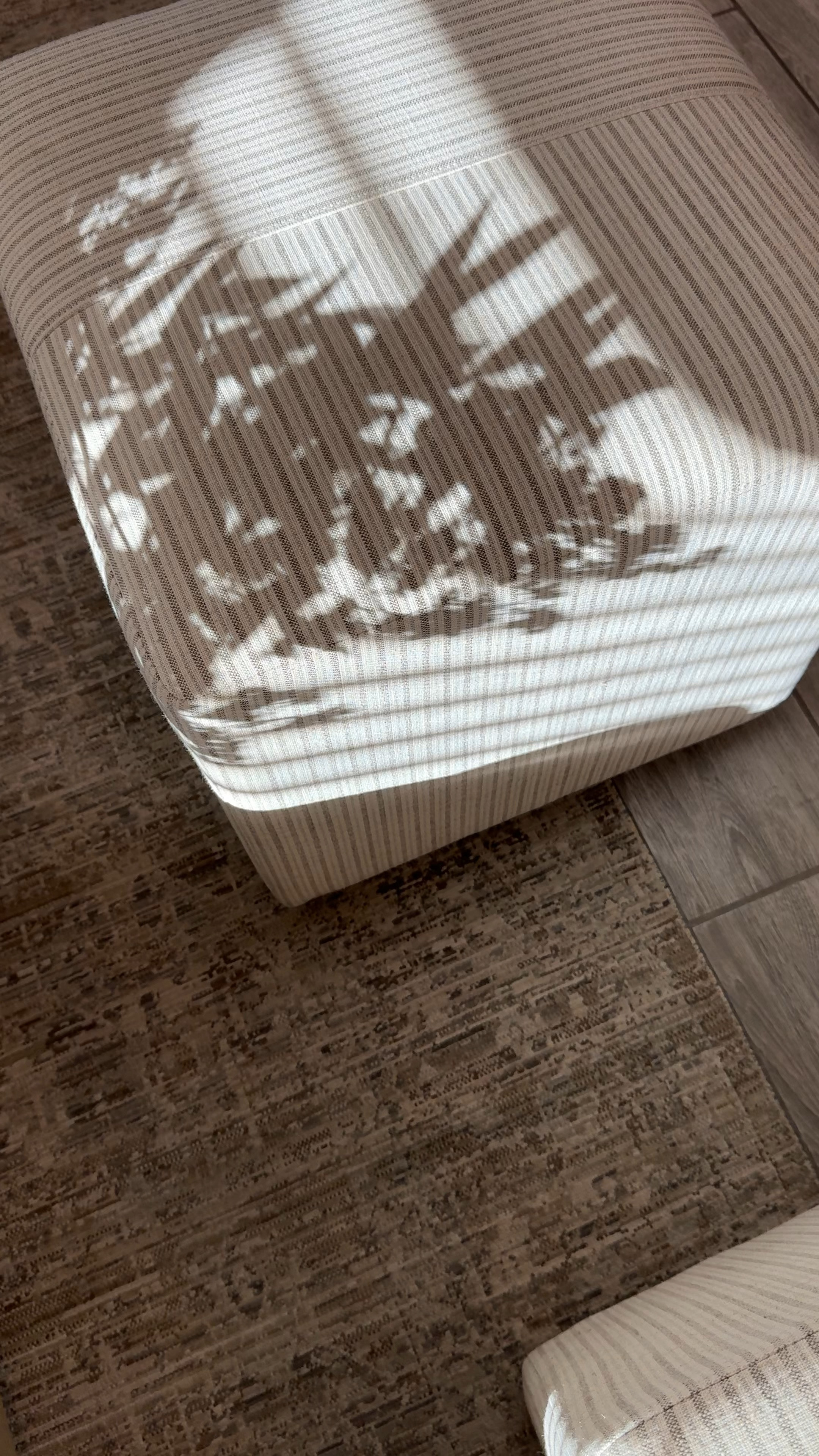 The favorite Target Ottoman is back in stock!🤍 I love having them in our living room for extra seating for guests and decorated at the foot of our bedframe🫶🏼 #targethome #targethomefinds #targetfinds 

#LTKFindsUnder100 #LTKHome #LTKStyleTip