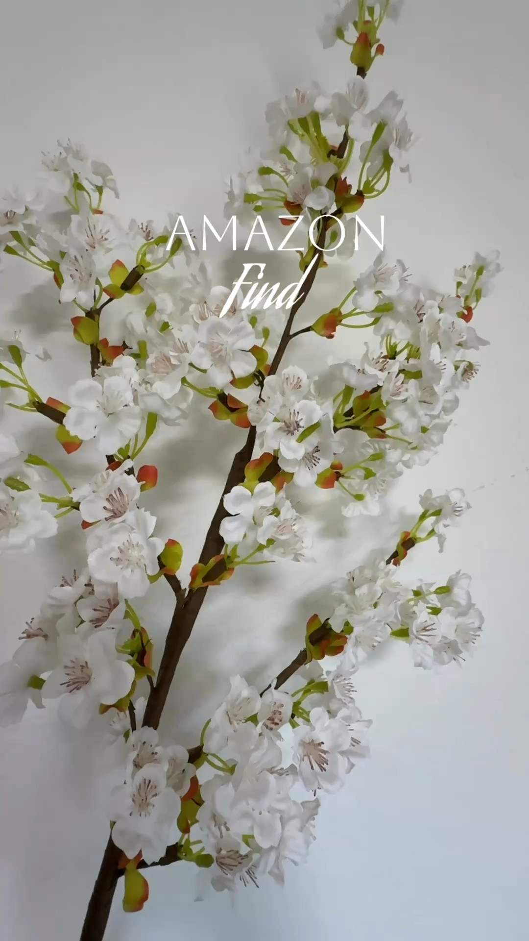 Cherry Blossom Branches!

#amazonfind #season 

YHS | YARIHOMESTYLE 