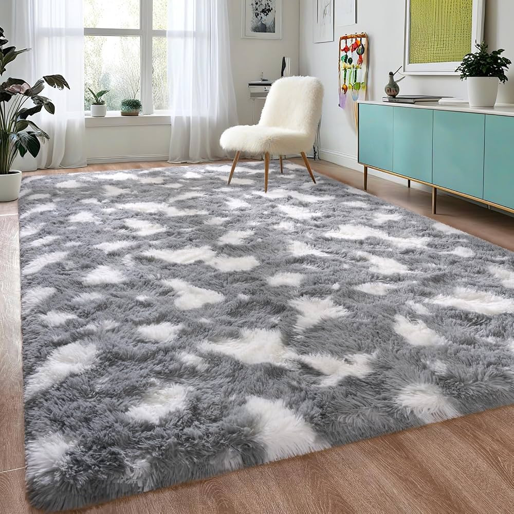 DweIke Fluffy Bedroom Rug Carpet - 4x6 Feet Shaggy Area Rugs for Living Room, Soft Rug for Girls ... | Amazon (US)