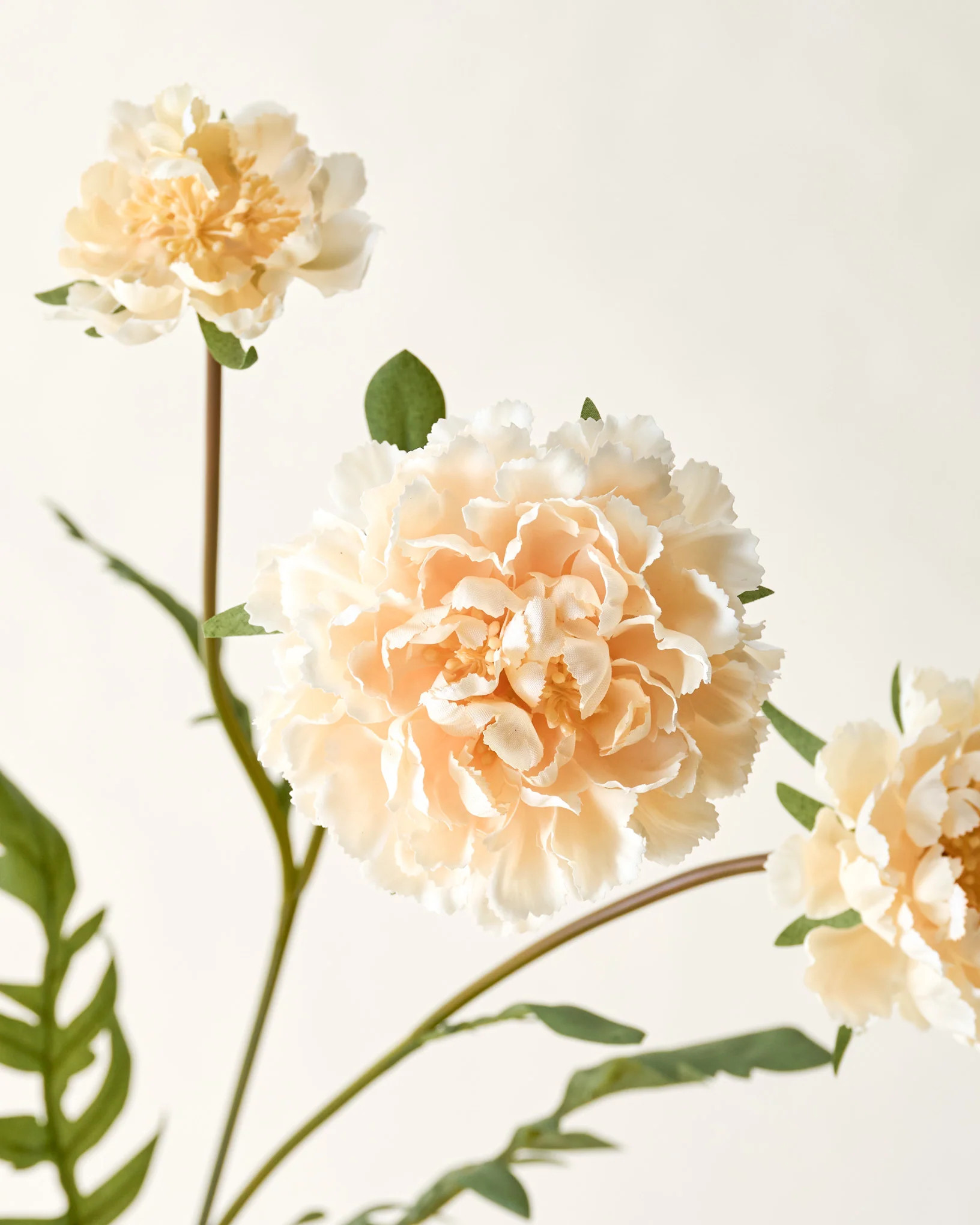 Real Touch Cream Scabiosa Stem | Magnolia