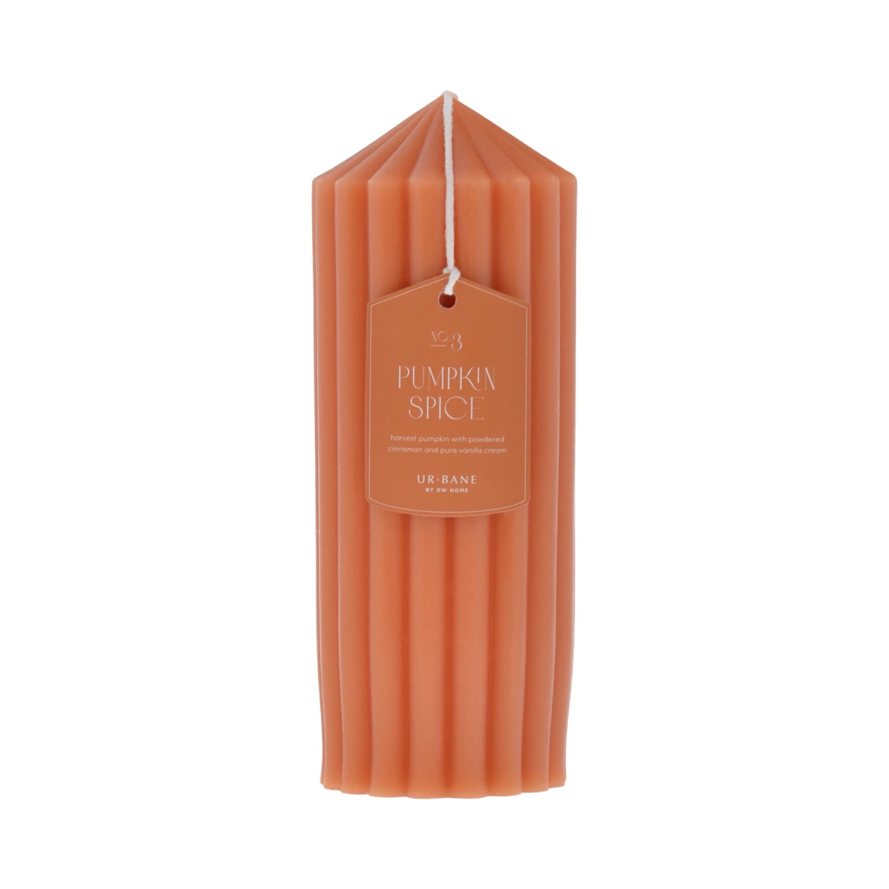 DWHome Pumpkin Spice Scented Pillar Candle | Wayfair | Wayfair North America