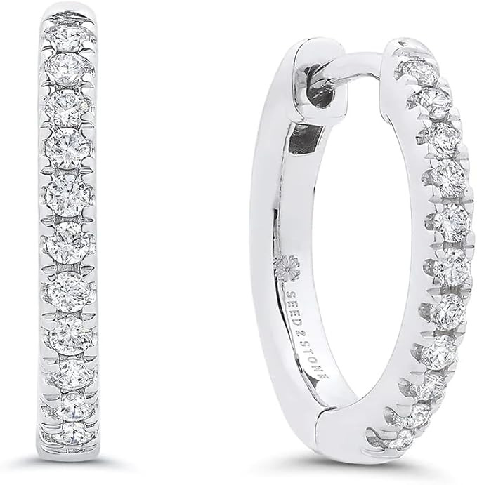 Seed2Stone Lab Grown Diamond Hoop Earrings – Pave Fitted Hoop for Women – 925 Recycled Sterli... | Amazon (US)