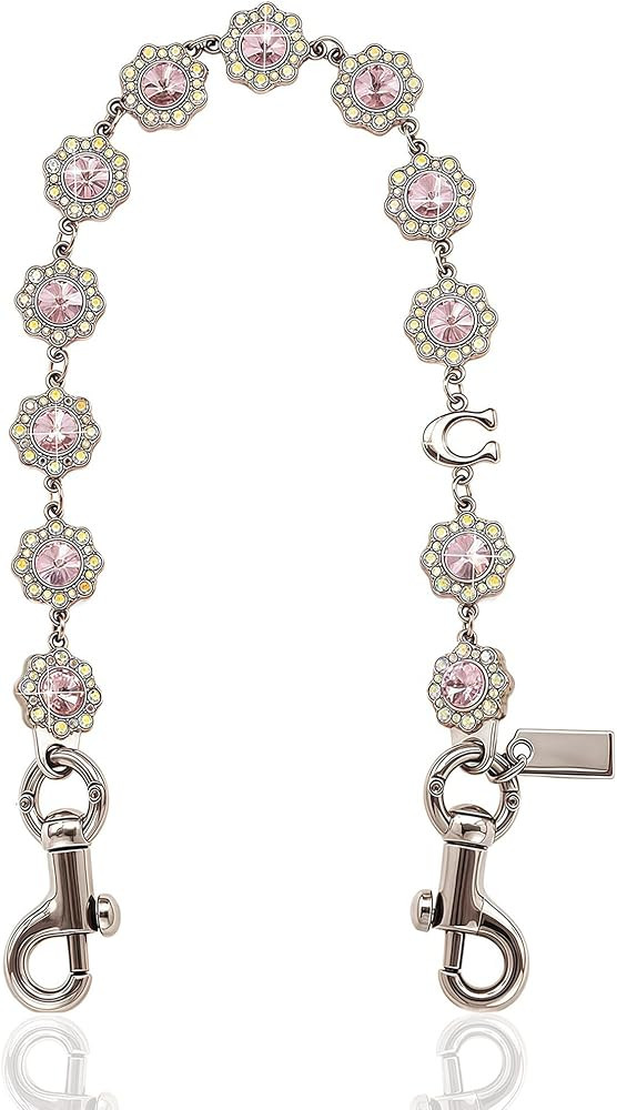 Bag Chain Charm, KeyChain & Charms Wallet Chain Charm | Amazon (US)