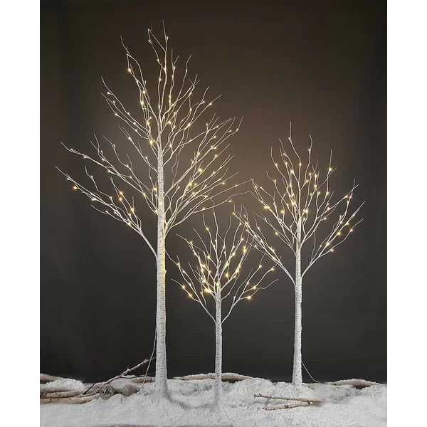LED Lighted Trees & Branches | Wayfair North America