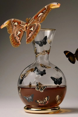 Catherine Martin Midnight Creatures Decaled Glass Decanter | Anthropologie (US)