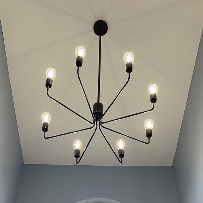 Black Chandelier, LynPon 8 Lights Farmhouse Chandeliers Adjustable Ceiling Light Fixture Modern I... | Amazon (US)