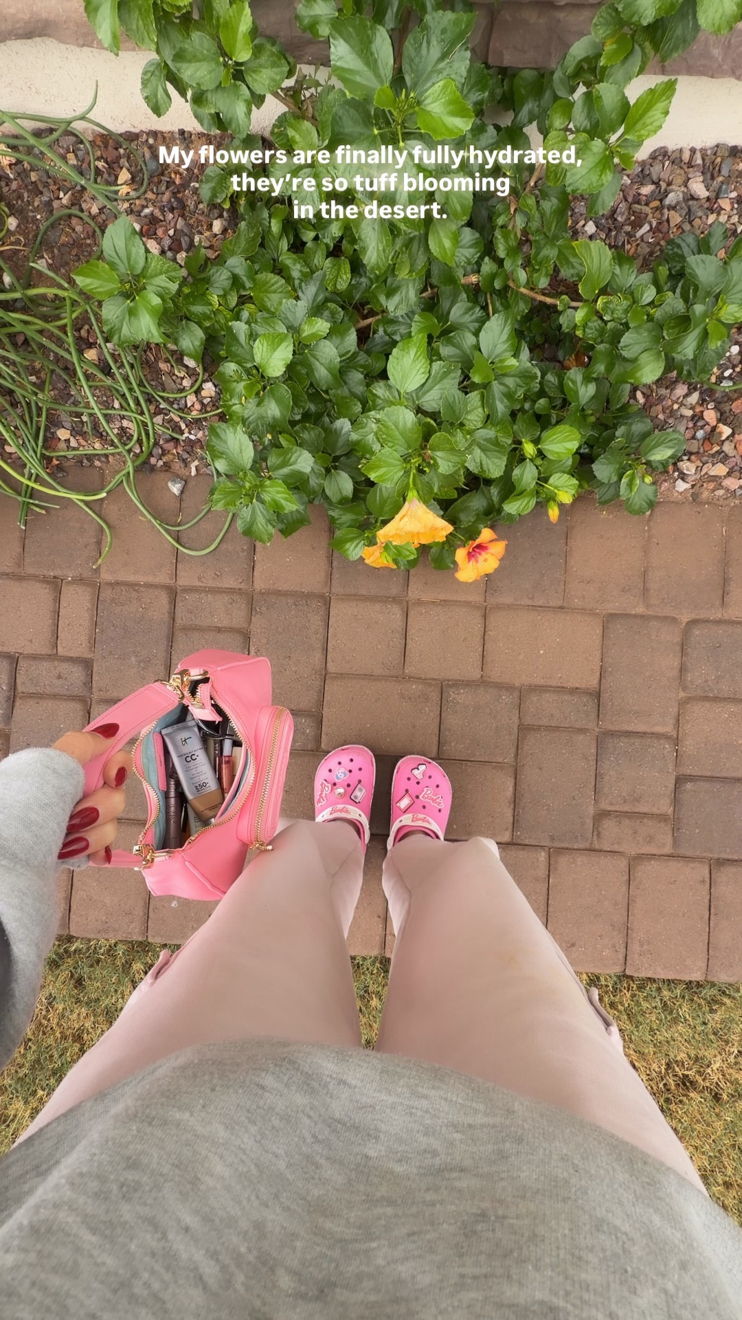 Hydrofacial day for my gorgeous Hibiscus 🌺 flowers. I’m so proud of them blooming well in the desert.   xx Angelina Claire


#LTKActive #LTKdayinmylife #LTKFindsUnder50