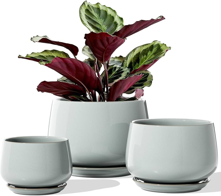LE TAUCI Plant Pots for Indoor Plants, 4.1+5.1+6.5 inch, Set of 3, Ceramic Planters with Drainage... | Amazon (US)