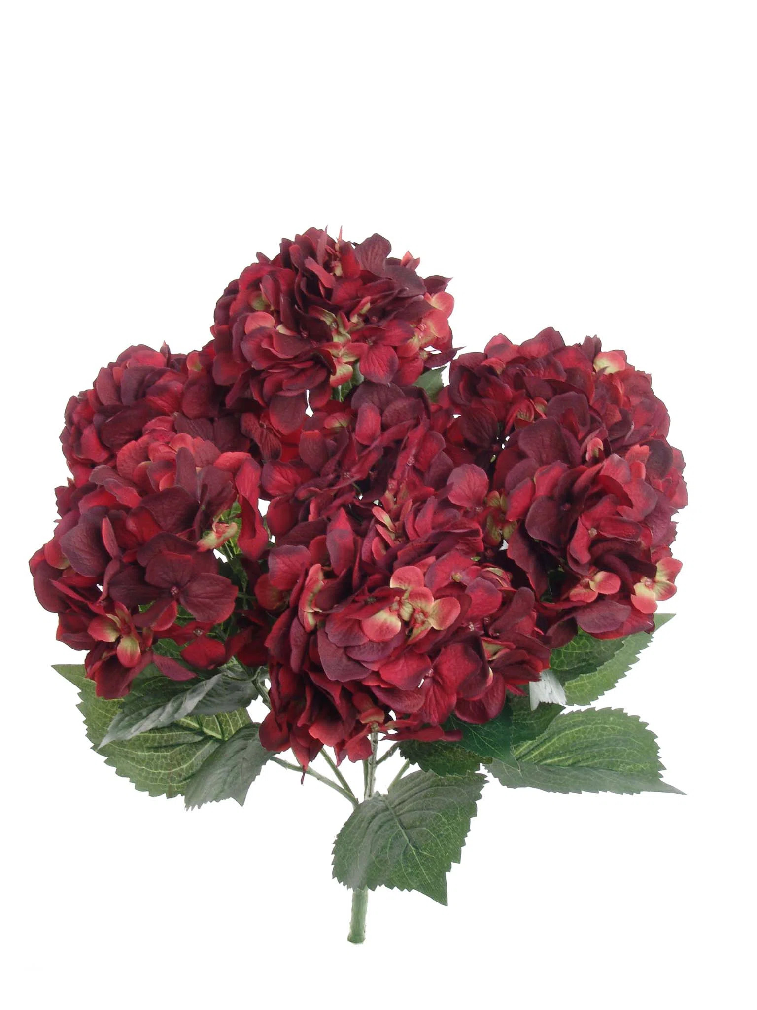 Hydrangea Bush | Wayfair North America