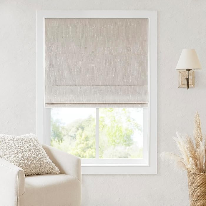 Madison Park Cordless Roman Shades, Total Blackout Window Blind Privacy Window Shades, Thermal In... | Amazon (US)