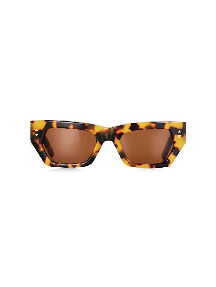Dawn & Dusk - Tortoise | Pared Eyewear