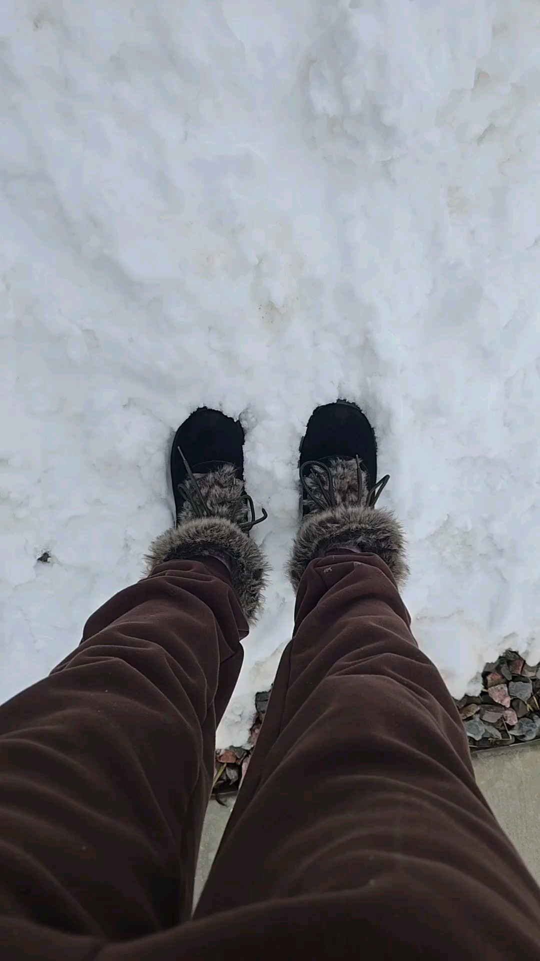 Non-Slip, Machine Washable Indoor & Outdoor mat is absorbant and will keep your house and footwear clean. #muddymat #indoormat #outdoormat #pets #cleanhouse #cleantok @Muddy Mat 

#LTKSeasonal #LTKFindsUnder50 #LTKStyleTip