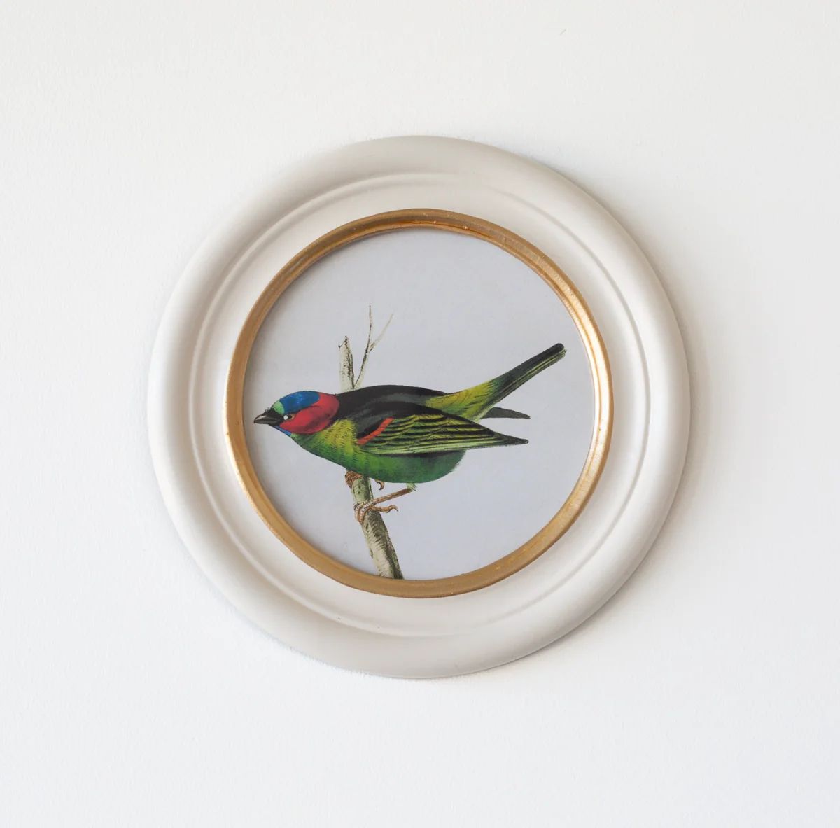 Round Bird Print 4 | Stoffer Home